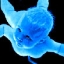Avatar člana